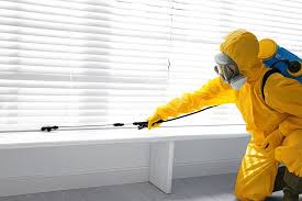 Best Termite Inspection and Treatment  in Haubstadt, IN